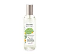 Vaporisateur Spray Pour Ambiance 100ML Orange Et Thé Vert Esteban