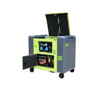 Varan Motors - 92624 Générateur diesel électrique insonorisé Groupe électrogène Type Panda 5.5kW 230V