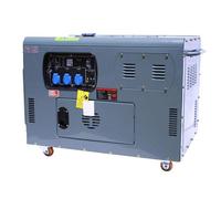 Varan Motors - 92692 Générateur / Groupe électrogène Diesel insonorisé 12kW 230V + 12V
