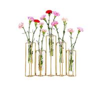Vase à Fleurs à charnière avec 5 Tubes à essai - Cadre en métal doré pouvant être plié et tordu - Station de Propagation - Tubos de Ensayo pour décoration de Maison, Mariage, Balcon