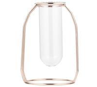 Vase à Fleurs en Tube de Verre, Support Métal, Hydroponie Décorative | Or, Roses et Tulipes, Nettoyage Facile, Fêtes de Noël et Saint Valentin