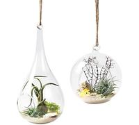 Vase à suspendre en boule de verre - ZGEER - Lot de 2 - Installation suspendue - Verre borosilicaté