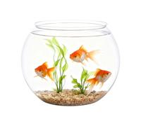 Vase Aquarium Décoratif Transparent - Bocal à Poissons Miniature avec Couvercle, pour Décoration de Table, Événement, Fête, Bureau