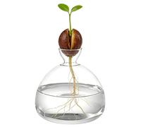 Vase Avocat en Verre, Support de démarrage pour Noyau d'avocat en hydroponie, Observation de la Germination et des Racines avec jardinière Transparente, déco Maison, 15 x 15 x 4,5 cm