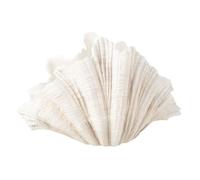 Vase Coquillage en Résine ""Puglia"" 57cm Blanc