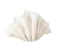 Vase Coquillage en Résine Puglia 57cm Blanc