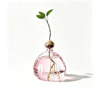 Vase d'avocat en verre pour fleurs, graines d'avocat et châtaignes, pour la maison, la table de cuisine, l'intérieur et l'extérieur, rose