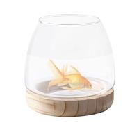 Vase de Poisson - Grand matériau en Verre | Fissh Bowls | Bol en Verre pour Petites Aquatiques d'aquarium Betta Doré Décoration de Bureau à Domicile et Utilisation Quotidienne