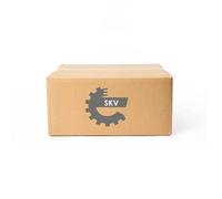 ESEN SKV 61SKV307 Vase d'expansion, liquide de refroidissement