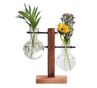 Vase en Tube à Essai, Verre Tube à Essai Vase, Vases Hydroponiques Vintage, Tube à Essai en Verre Vases, pour Plantes Hydroponiques, Décoration Bureau Domicile, avec 2 Ampoule Vase