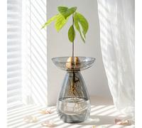 Vase en verre en forme d'avocat de 19 cm, grand pot à plantes d'avocat, en verre, peut être utilisé comme vase de germination et de culture des graines d'avocat, pot à plantes d'avocat d'intérieur, ki