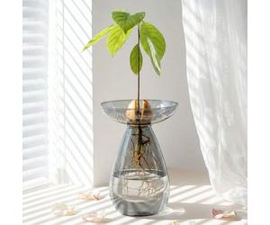 Vase en verre en forme d'avocat de 19 cm, grand pot à plantes d'avocat, en verre, peut être utilisé comme vase de germination et de culture des graines d'avocat, pot à plantes d'avocat d'intérieur, ki