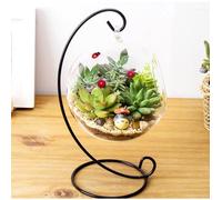 Vase en verre suspendu - keeper - Boule terrarium - Verre borosilicate - Noir