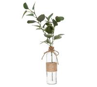 Vase & Eucalyptus Corde 45cm Vert