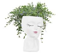 Vase Facial - Vase en Forme de Visage - Vase en Forme de tête de Visage | Vases en Forme de Visage Petits Pots pour Plantes succulentes - Vase E
