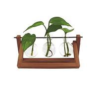 Winkee – Vase Hydro Vase Blossom en verre avec support en bois – 1 pièce