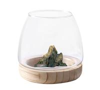 Vase hydroponique avec support en bois - Vase en verre transparent avec support en bois | Vase à col large, terrarium, pot de fleurs hydroponique en verre, bol à poisson transparent pour la décoration