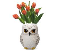 Half Moon Bay – Pot de fleurs mural – Harry Potter Hedwige