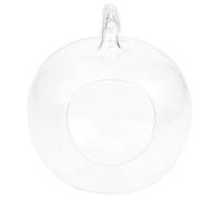 Vase Pomme en Verre Transparent pour Succulentes et Mousse Décorative | Objet Compact, Style Moderne et Simple, Visibilité Nette, pour Bureau, Tabletop, DIY Crafters et Passionnés