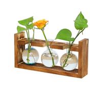 Vase pour échantillons en bois, vase à ampoule avec support, tube à essai en verre pour plantes, tube à essai pour plantes hydroponiques, station de propagation, pour décoration intérieure de bureau à