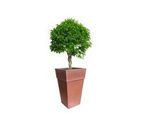 Vase pour fleurs - H 70 cm - Marron clair