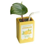 Vase Vintage - Planteur De Carton De Lait, Pot À Fleurs Décoratif | Vase De Conception De Boîte À Jus Mignonne pour Succulentes, Porte-Stylo De Bureau, Conteneur De Rangement, Décoration De Ma