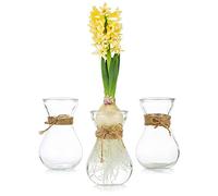 Vases en Verre pour Fleurs avec Corde De Ficelle - 3 Pièces/Ensemble D'arrangements Floraux, Bourgeon en Cristal Créatifs pour Mariage, Maison, Cuisine, Décoration