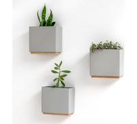Vases muraux - pour Muurbloempjes, Muurplantjes, Muurbloem - Pots de fleurs suspendus modernes pour le mur - Set de 3 cache-pots en résine de haute qualité pour plantes d'intérieur - plantes artificie