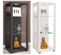 VCM Bois verre vitrine de collection vitrine de verre vitrine de stand vitrine Glasol M Bois verre vitrine de collection vitrine de verre vitrine de stand vitrine Glasol M Gris