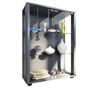 VCM Bois verre vitrine de collection vitrine en verre vitrine stand vitrine Sintalo Bois verre vitrine de collection vitrine en verre vitrine stand vitrine Sintalo Argenté