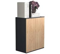 VCM Commode en bois Sideboard Highboard Armoire Dalosa 2 portes battantes Commode en bois Sideboard Highboard Buffet Armoire Dalosa 2 portes battantes Gris