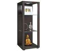 VCM vitrine en Verre Colonne Bois Verre vitrine de Collection vitrine de Verre vitrine de Stand vitrine Glasol M Anthracite