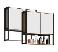 VCM Miroir de salle de bain miroir mural miroir suspendu armoire de toilette salle de bain Edino 60 x 60 cm Blanc