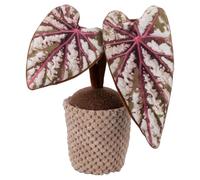 VDE Villa d'Este Home Tivoli 1998 Cactus artificiel butoir de porte 1 kg en tissu, jardin