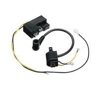 VDFNGFD Ancien Module de Bobine d'allumage Magento Set Compatible avec Husqvarna 61 66 162 266 266SE 51 55 254 257 268