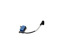 VDFNGFD Argent Noir de Remplacement Module Bobine d'allumage Facile à Installer, Compatible avec Les Coupe-Bordures Echo