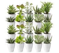 Vdvelde - Set Mini Cactus & Succulentes 20 Pièces avec Pots en Céramique Blancs - Petites Plantes d'Intérieur Ø6 cm, Hauteur ca. 10-15 cm - Faciles d'Entretien pour Déco & Cadeau