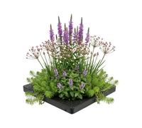 Vdvelde - Set Plantes Anti-Moustiques pour Bassin - Île Flottante avec 4 Plantes Aquatiques - Contre Moustiques & Larves - Kit complet avec Panier, Substrat & Engrais