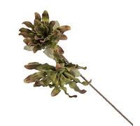 VEA SRL Tige G. Fleurs Tropicales 83 cm CHU55398