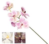 VEA SRL Tige M Orchidée Thai 73 cm YIM55254