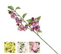 VEA SRL Tige P. Fleurs de Champ CHA55315