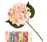 VEA SRL Tige P. Hortensia 36 cm 43301