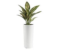 VECA Grand cache-pot rond « Clou » - Pots de fleurs et jardinières de haute qualité - Blanc - 65 cm de haut x 30 cm de diamètre