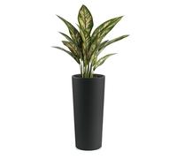 Veca Veneta Casalinghi Cache-pot clou rond H65 anthracite