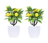 Veemoon Lot De 2 Citronniers Artificiels en Pot Décoration Dintérieur Décoration Extérieure