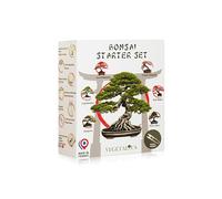 VEGETALIUS - Kit complet de 6 Bonsai avec graines & accessoires - Fabriqué en France - Idée coffret cadeau original pour femme & homme pour votre intérieur ou jardin ! Idéal pour Noël ou Secret Santa
