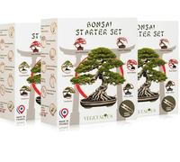 VEGETALIUS - Kit complet de 6 Bonsai avec graines & accessoires - Fabriqué en France - Idée coffret cadeau original pour femme & homme pour votre intérieur ou jardin (3)