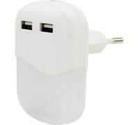 ANSMANN Veilleuse LED automatique avec capteur d'obscurité et 2 ports USB-A (1 pce) - Veilleuse murale LED SMD blanc chaud - Veilleuse nocturne à brancher au secteur