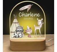 Veilleuse Bébé Led Personnalisée, Lampe Nominative Cadeau Nouveau né Garcon