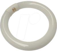 Velleman Ampoule de Rechange pour Lampe loupe, Circulaire, 22 W, Blanc Froid, pour VTLAMP2WN, VTLAMP2WN8